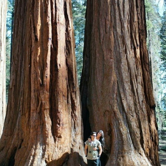 Meet your Posher, Lisette and Josh - Picture 6 of 8